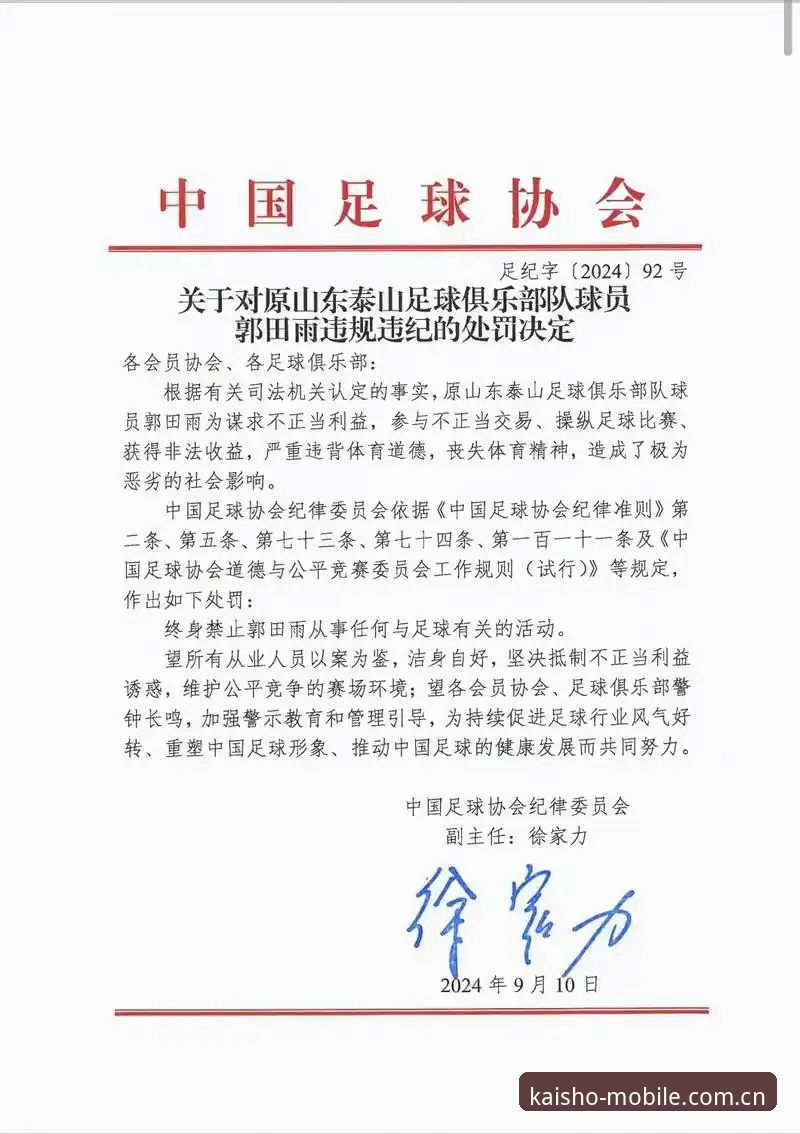 足协第三批禁足名单深度分析：65人受罚背后的中国足球反腐风暴